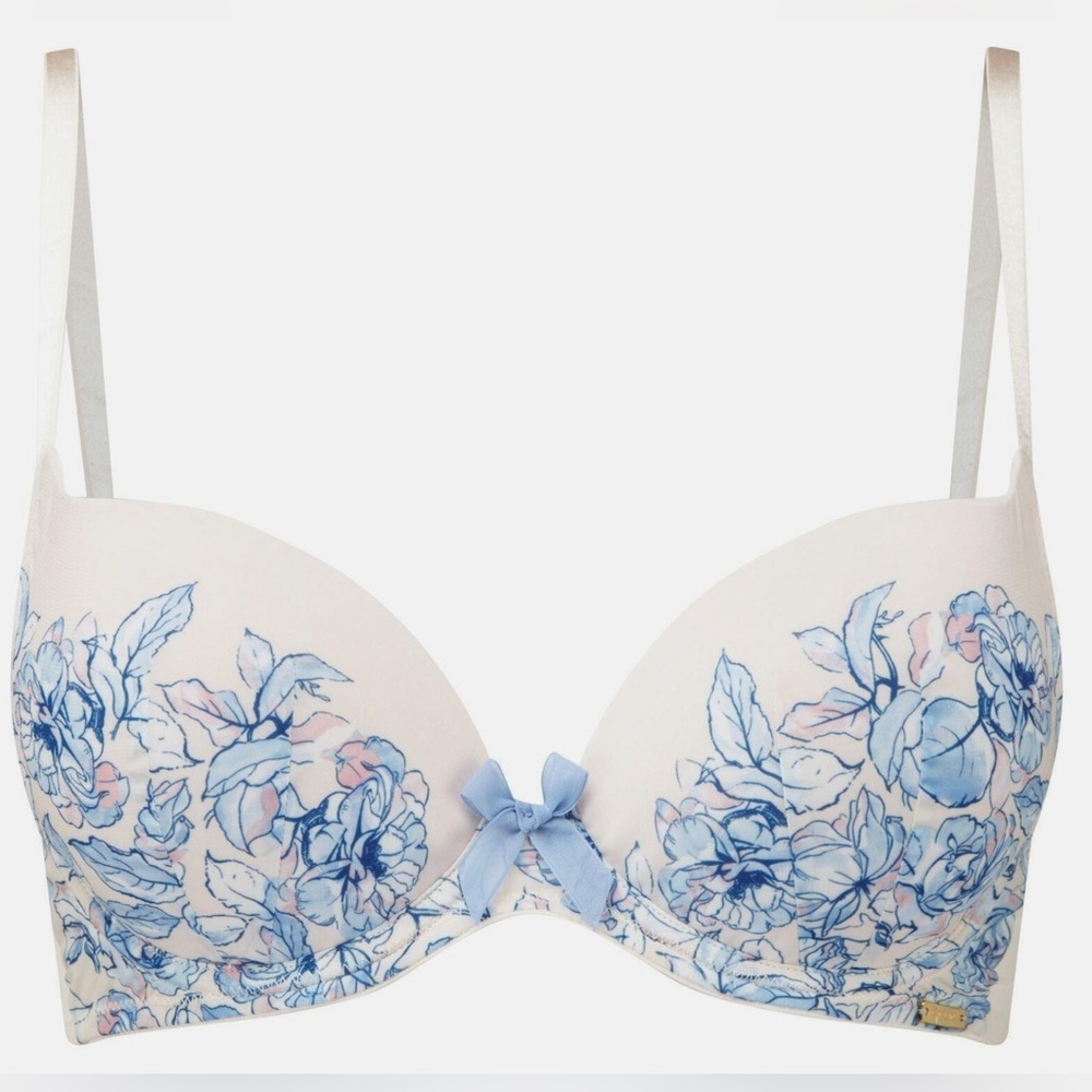 NWOTS GOSSARD PLUNGE BRA (38G)